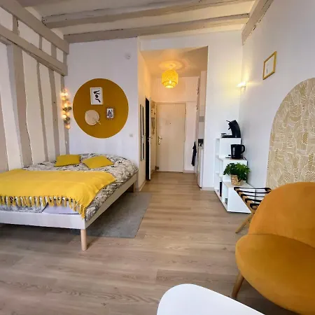 Joli Hyper Centre Apartment