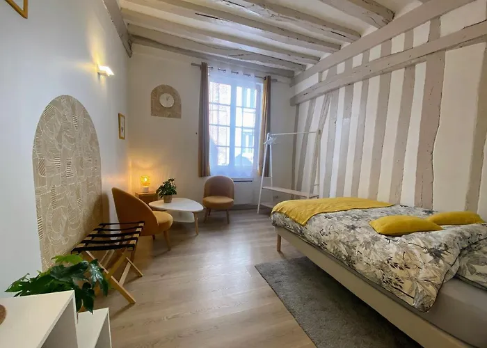 Joli Hyper Centre Apartamento